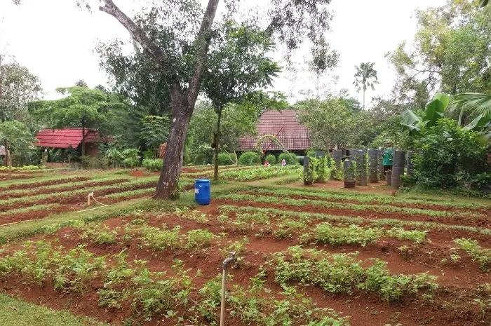 D’Kandang Amazing Farm, Fun Family Educational Tourism in Depok