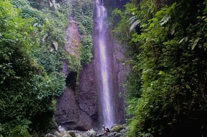 Jackfruit Waterfall, Hidden Waterfall in the Middle of the Tropical Forest of Mount Salak Bogor